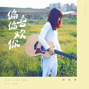 苗族一级特黄A大片
