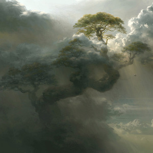 苗族一级特黄A大片
