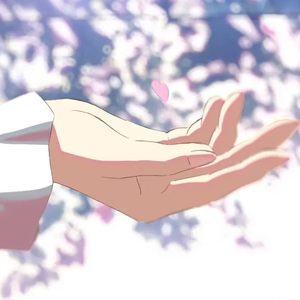 苗族一级特黄A大片
